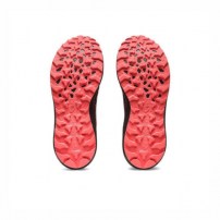 Кросівки для бігу жіночі Asics GEL-SONOMA 7 GTX Black/Sandstorm